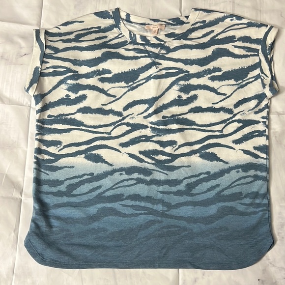 Ombré zebra 🦓 pattern XXL top - Picture 1 of 4